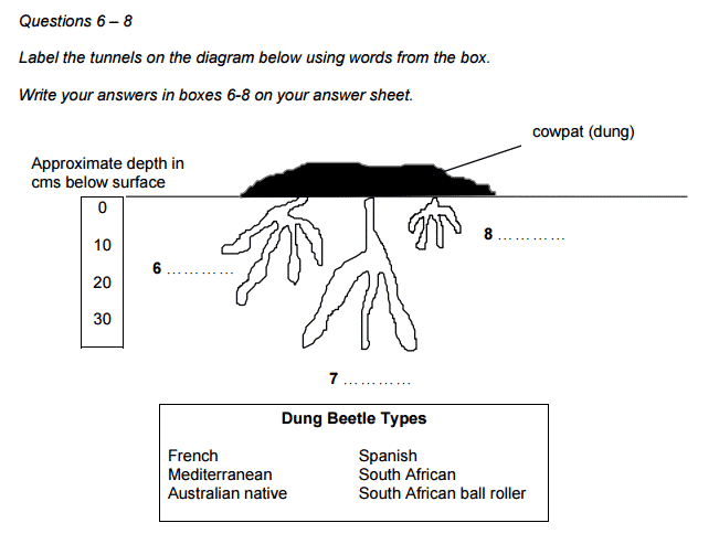 Diagram label completion