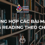 Tổng hợp các bài đọc IELTS Reading theo chủ đề