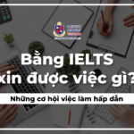 Bằng IELTS xin được việc gì? Những cơ hội việc làm hấp dẫn