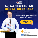Định cư Canada cần IELTS bao nhiêu? Lộ trình học IELTS General cấp tốc cho người định cư