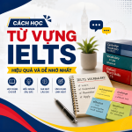 Cách học từ vựng IELTS hiệu quả và dễ nhớ nhất