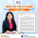 Phương pháp luyện IELTS Reading hiệu quả: Lộ trình từ nền tảng đến nâng band