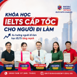 Xu hướng người đi làm học IELTS tăng mạnh: Vì sao ngày càng nhiều người chọn IELTS để phát triển sự nghiệp?